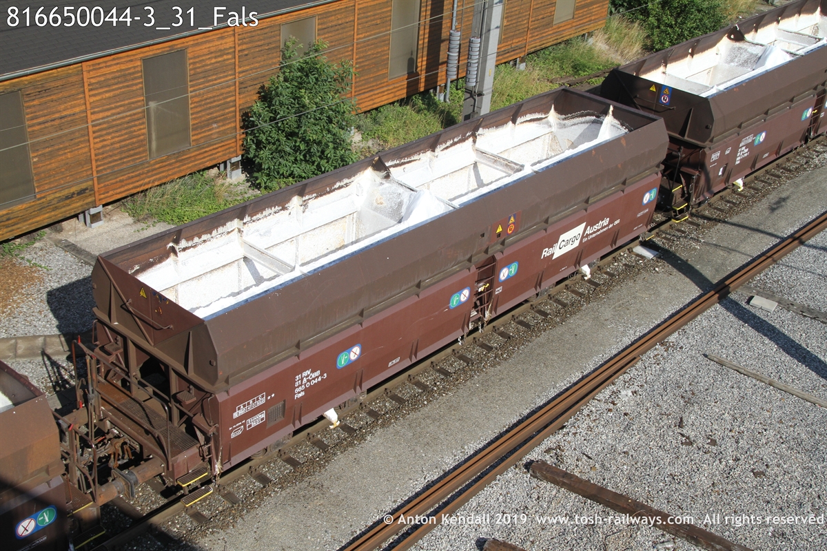 816650044-3_31_Fals.JPG